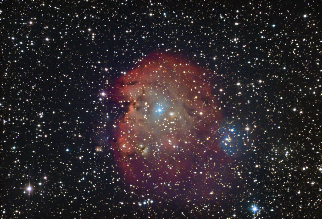 Nébuleuse du singe NGC2175