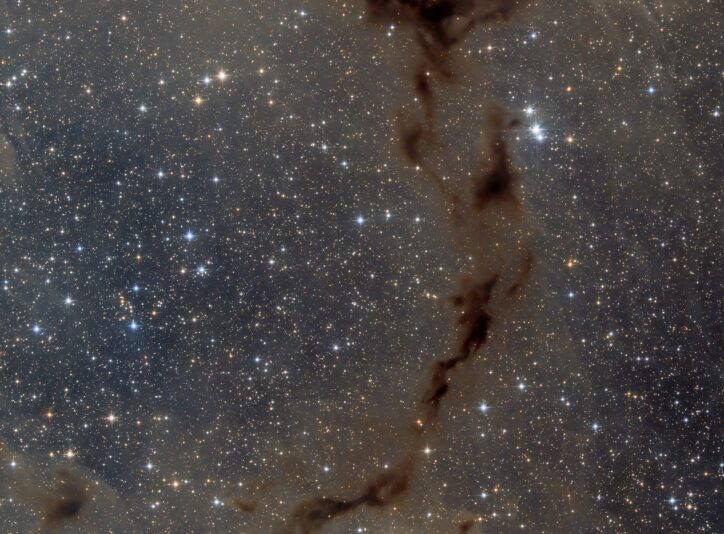 Final_Barnard150_seahorse_264x120