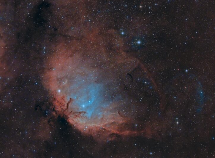 SH2_101_407x180s_HSO_Tulipe_Final1_Zoom01