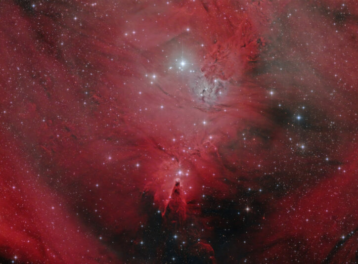 NGC2264