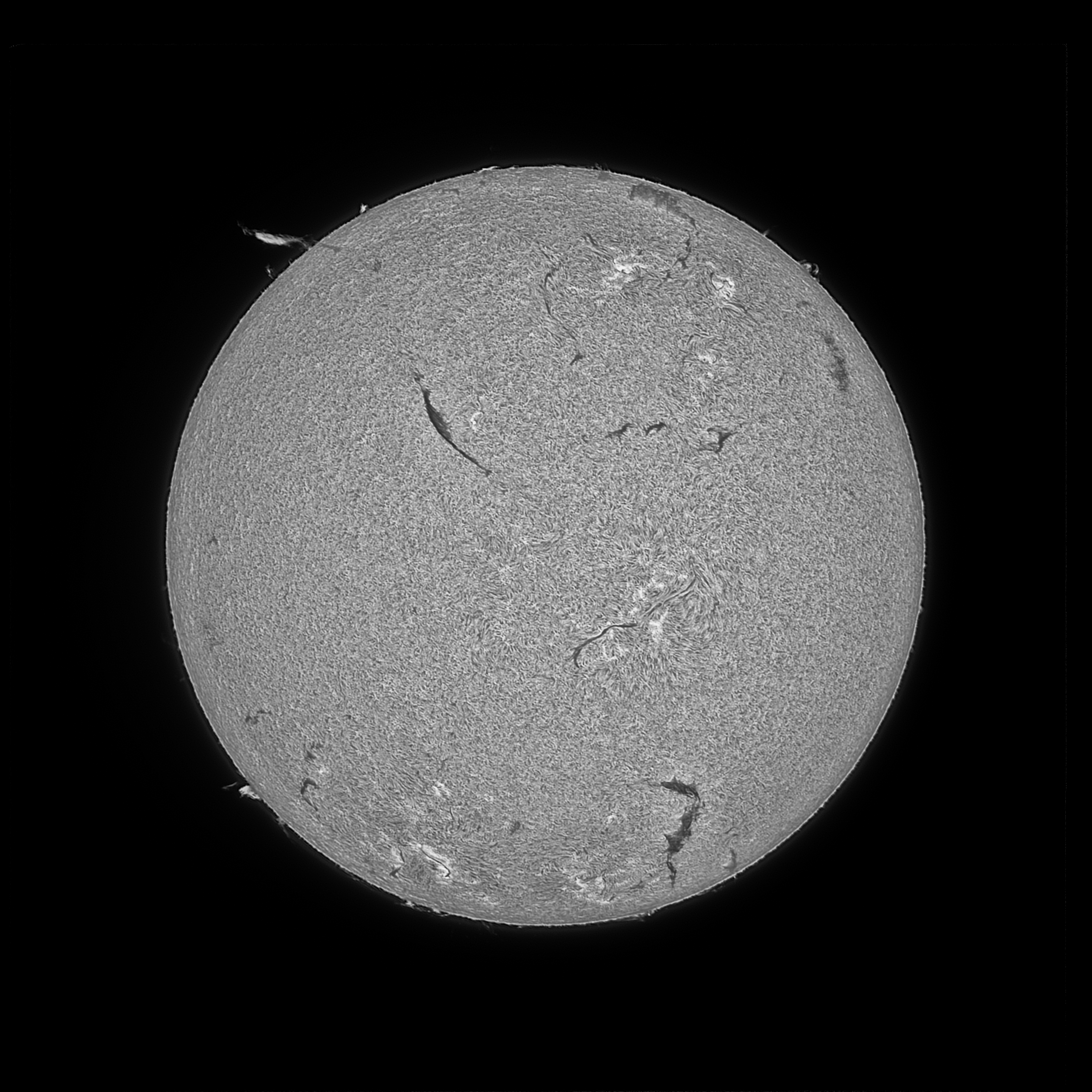 Solar Sun H Alpha Acuter Elite ZWO ASI676MM Normal