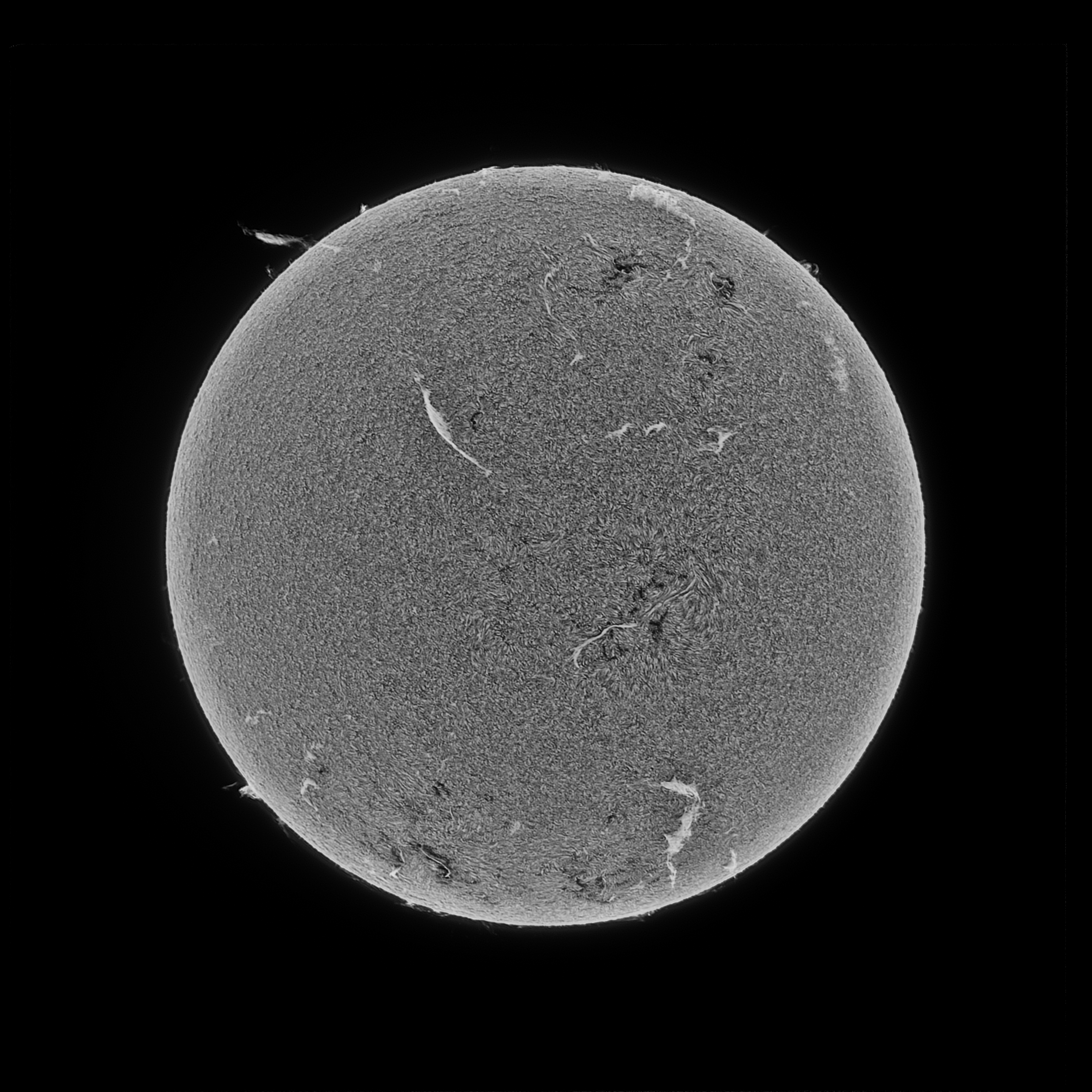 Solar Sun H Alpha Acuter Elite ZWO ASI676MM Inverse