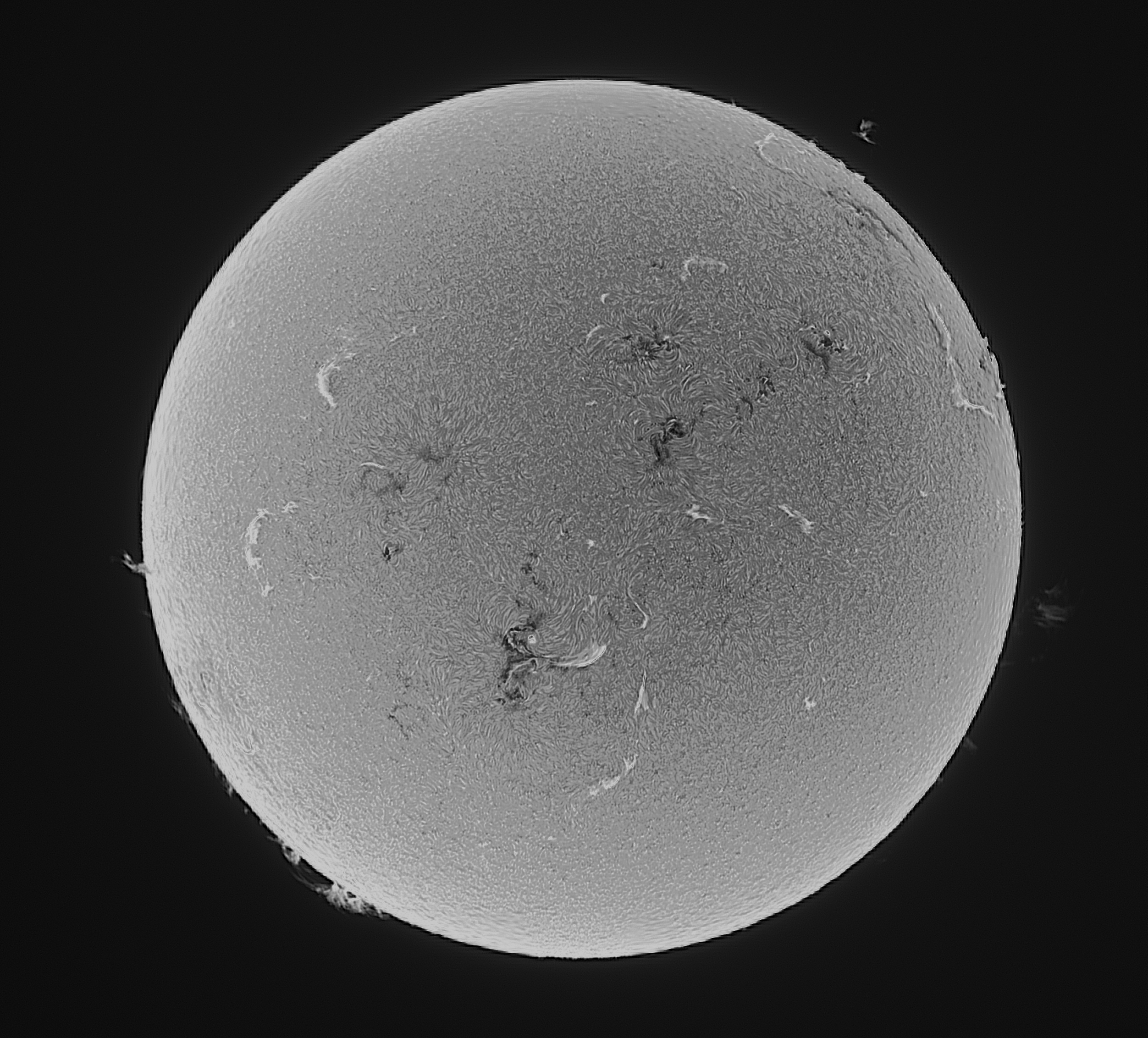 Sun Solar Halpha Acuter 02-08-2026 BW1 Sun Solar Halpha Acuter 02-08-2026 BW1