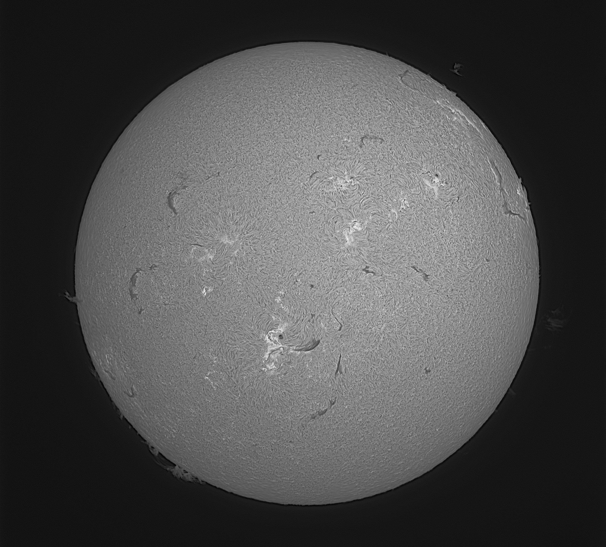 Sun Solar Halpha Acuter 02-08-2026 BW2 Sun Solar Halpha Acuter 02-08-2026 BW2