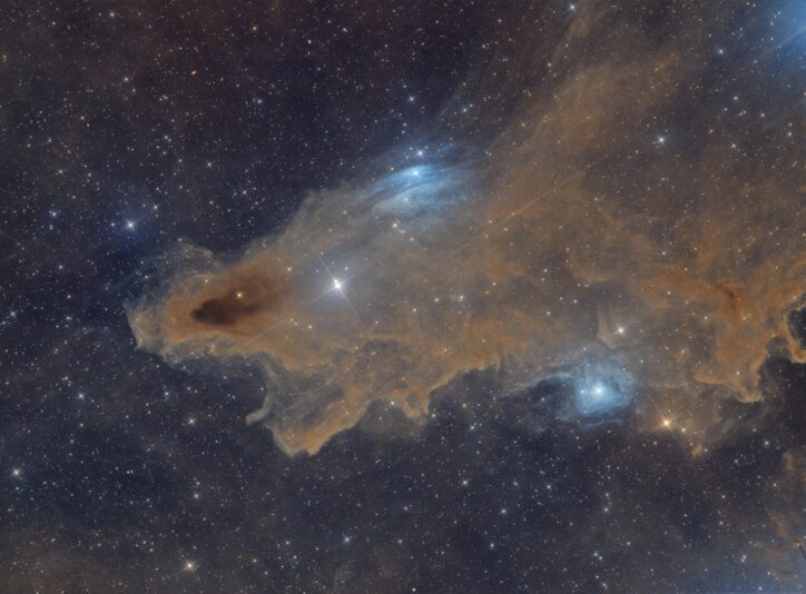 LDN1235 Shark Nebula Requin Nébuleuse